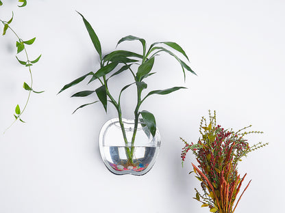 Wall Planter for Home Decor