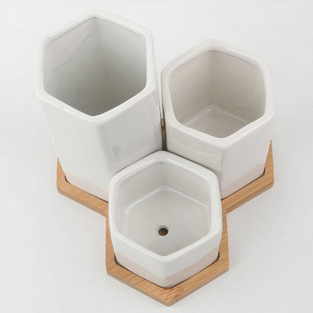 Jasmin Ceramic Pot Planter