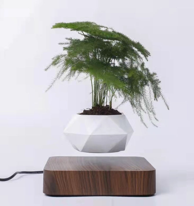 Levitating Flower Pot Magnetic Floating Planter for Home and Office Decor