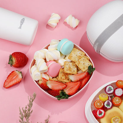 Japanese Style Bento Box with Microwave Safe Design