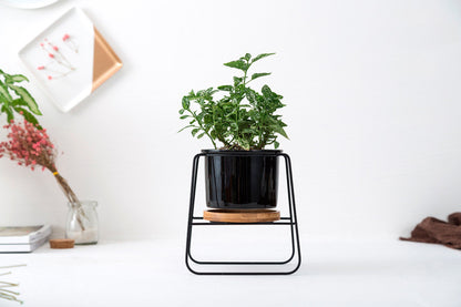 Geometric Ceramic Planter Set with Bamboo Stand and Iron Frame