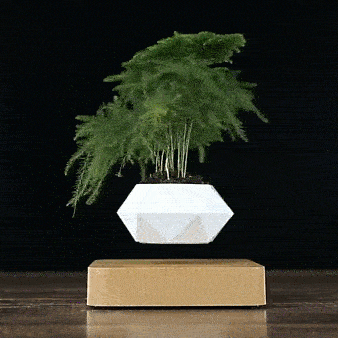 Levitating Flower Pot Magnetic Floating Planter for Home and Office Decor