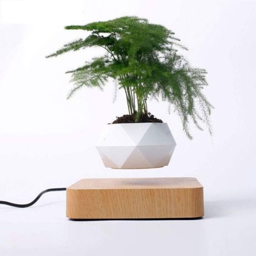 Levitating Flower Pot Magnetic Floating Planter for Home and Office Decor