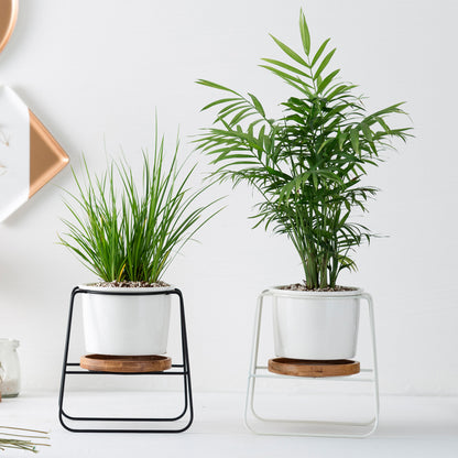 Geometric Ceramic Planter Set with Bamboo Stand and Iron Frame