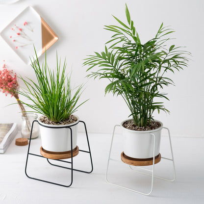 Geometric Ceramic Planter Set with Bamboo Stand and Iron Frame
