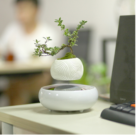 Floating Flower Pot for Home Decor
